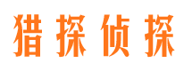 江岸侦探